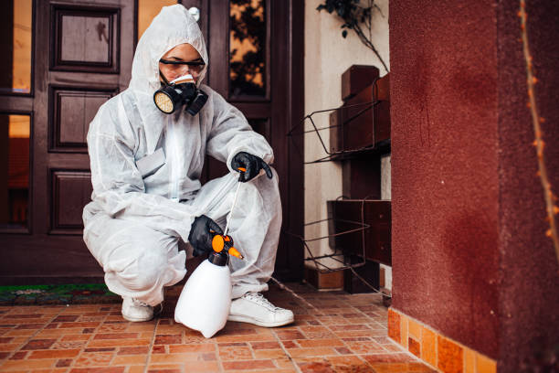 Reliable Cockroach Control contractor in East Bakersfield, CA by Nex Pest Control