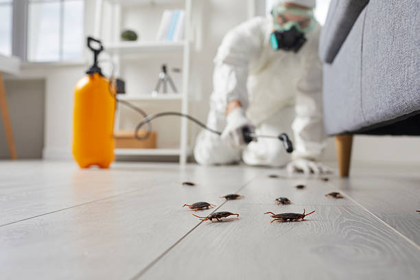 Trusted Mosquito Control service in East Bakersfield, CA - Nex Pest Control