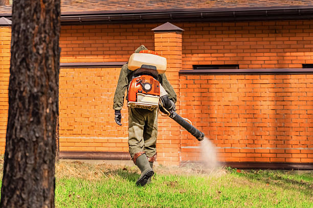 Trusted Fumigation Services service in East Bakersfield, CA - Nex Pest Control